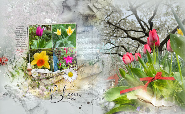 Wildflower Collection Bloom