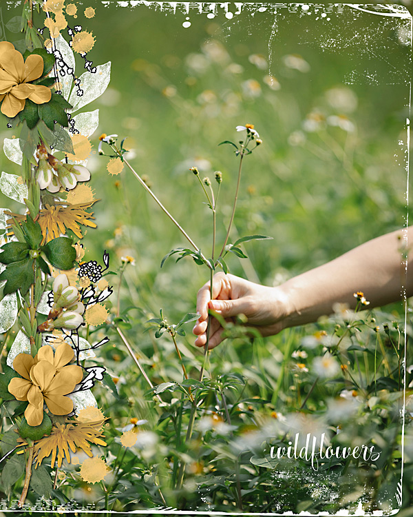 wildflowers