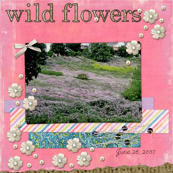 Wildflowers