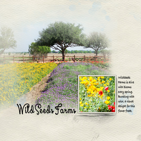 WildSeeds Farm