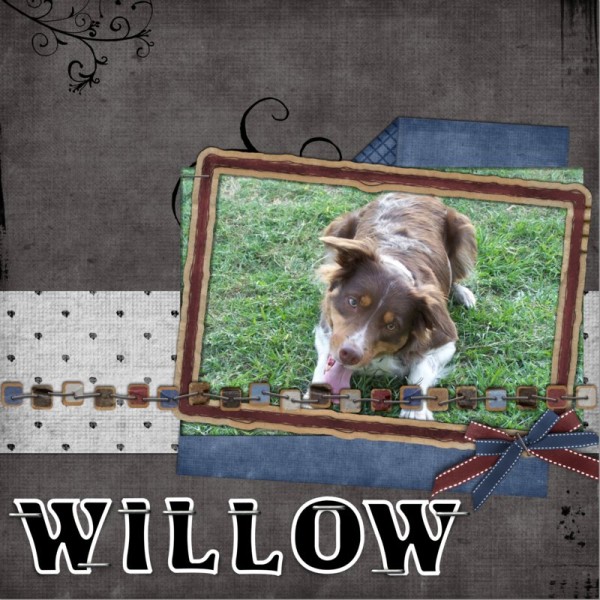 Willow