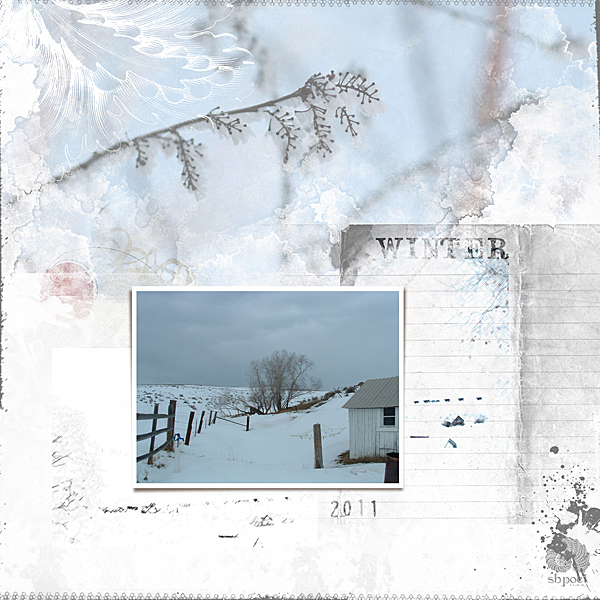 winter at the ranch 02011