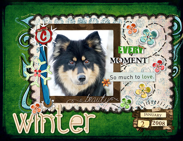 ~Winter Beauty~