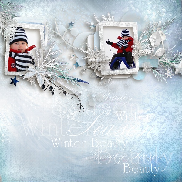 Winter Beauty