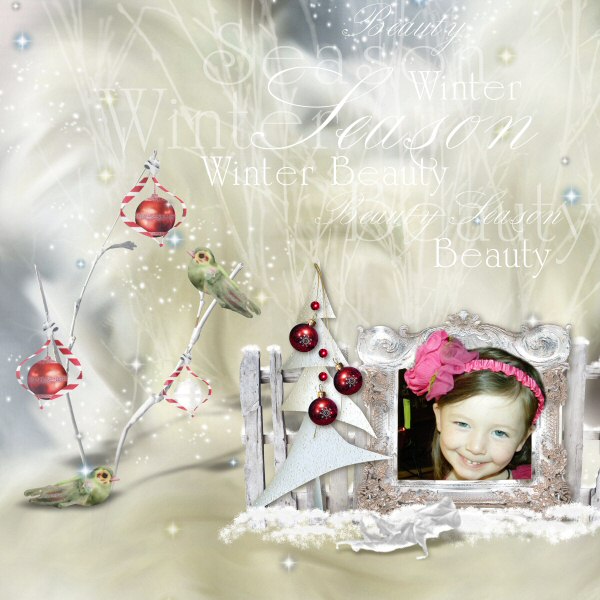 Winter Beauty