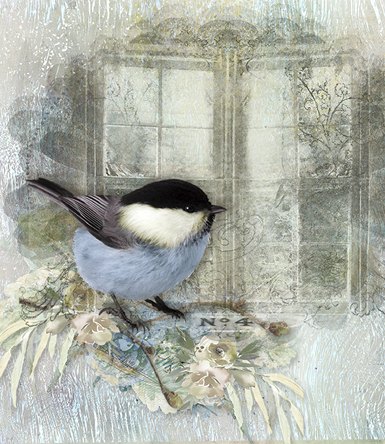 Winter Bird