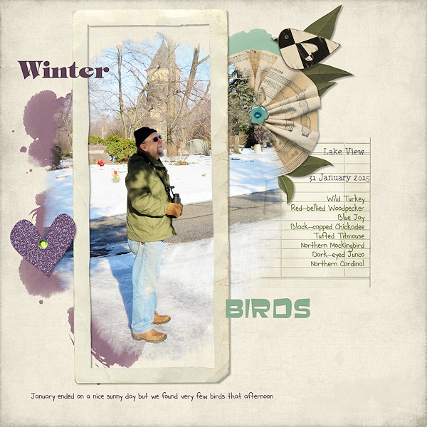 Winter Birds