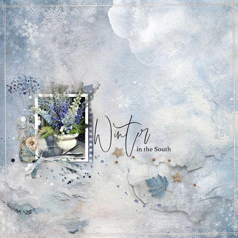 Winter In The South.jpg