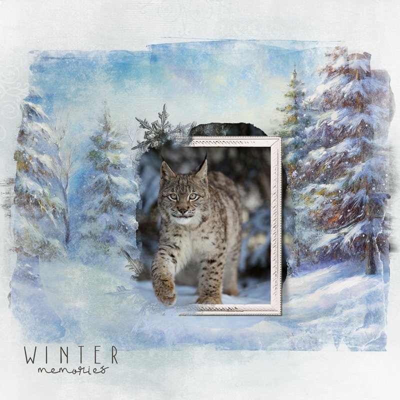 Winter Lynx