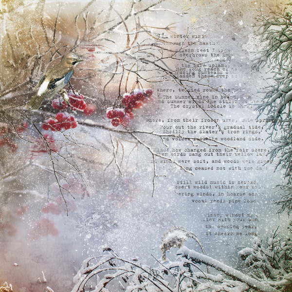Winter Magic