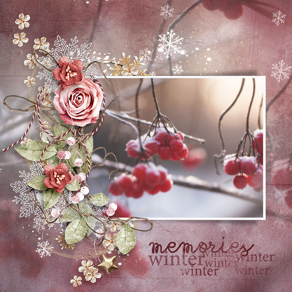 Winter Memories