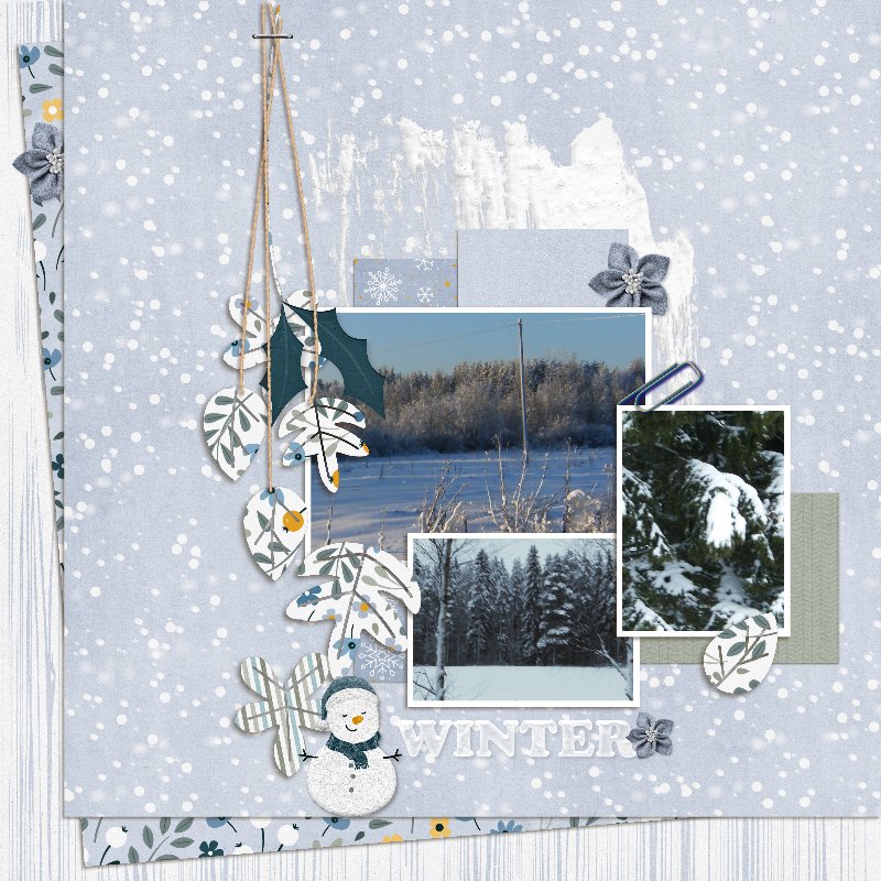 Winter memories