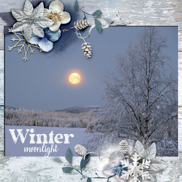 Winter-moonlight.jpg