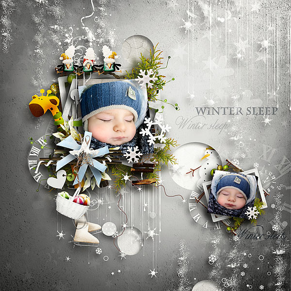 Winter sleep