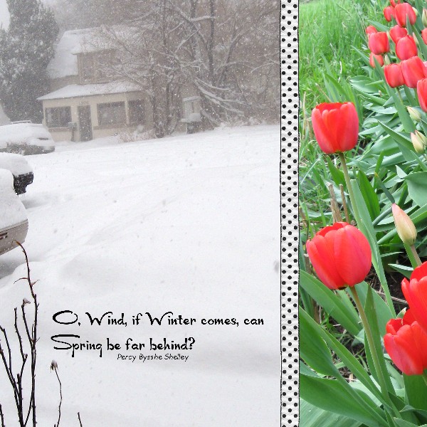 Winter Spring