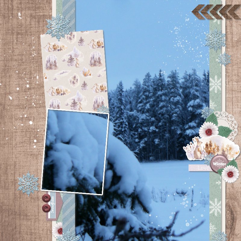 Winter trees.jpg