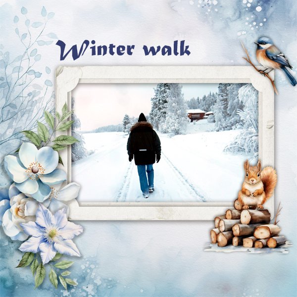 Winter-walk.jpg
