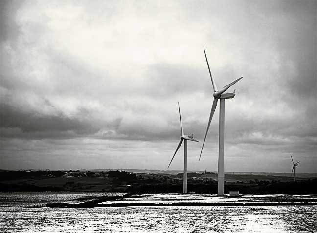 Winter Wind Final