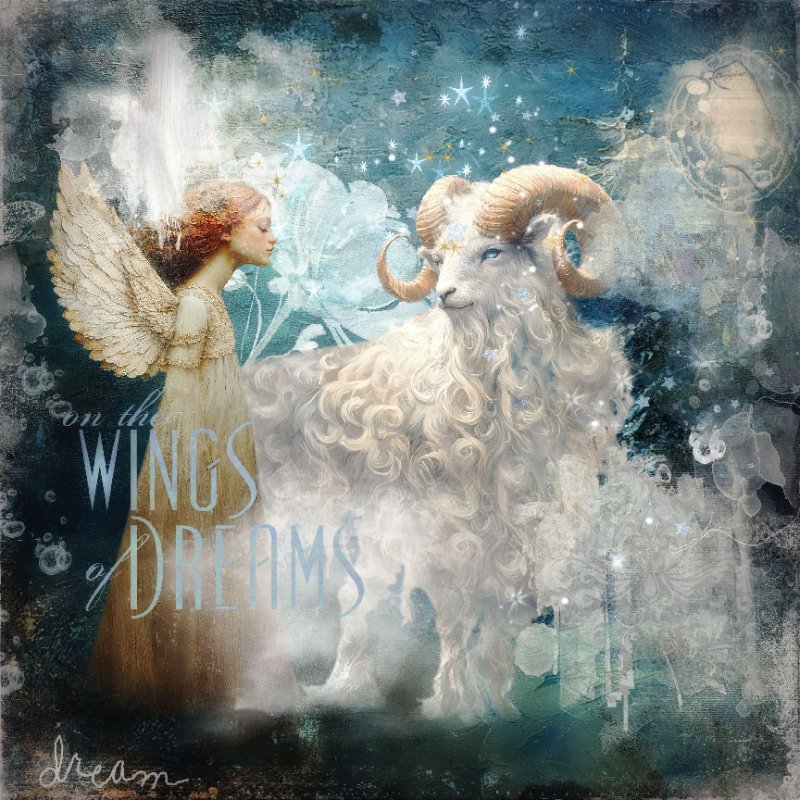 Winter Wonderland Encounter