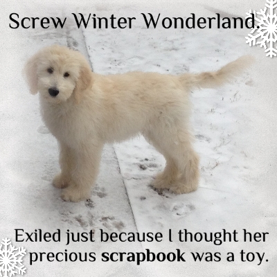 Winter Wonderland Exile
