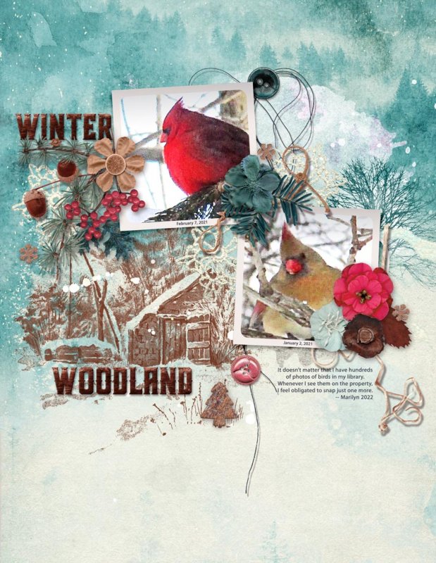 Winter Woodland