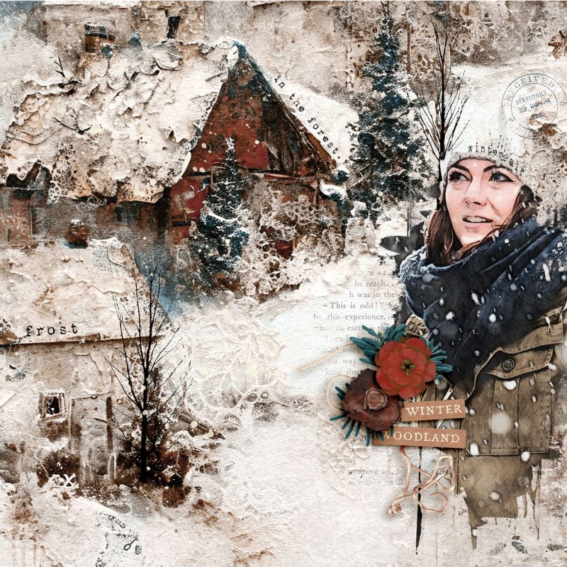 Winter Woodland