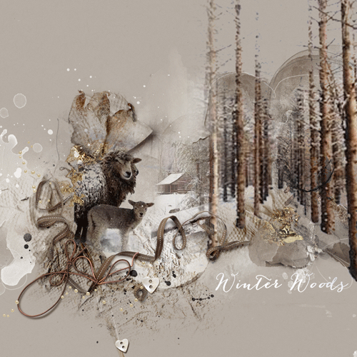 Winter Woods