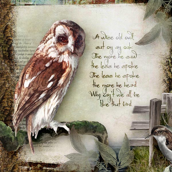 Wise Old Owl