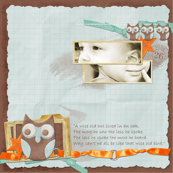 Wise Owl
