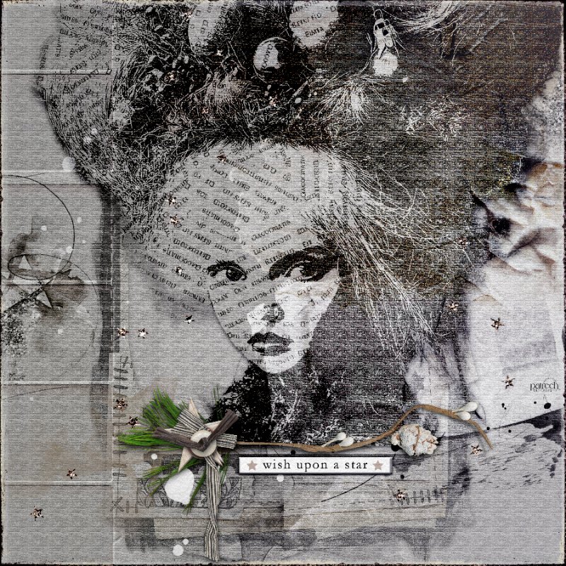 Wish Upon A Star.jpg