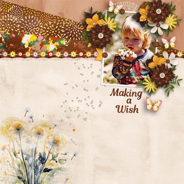 Wishing a Wish