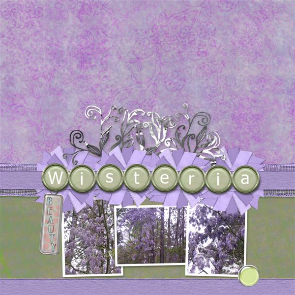 Wisteria