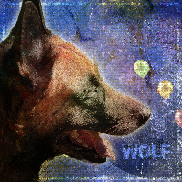 Wolf 10 years!
