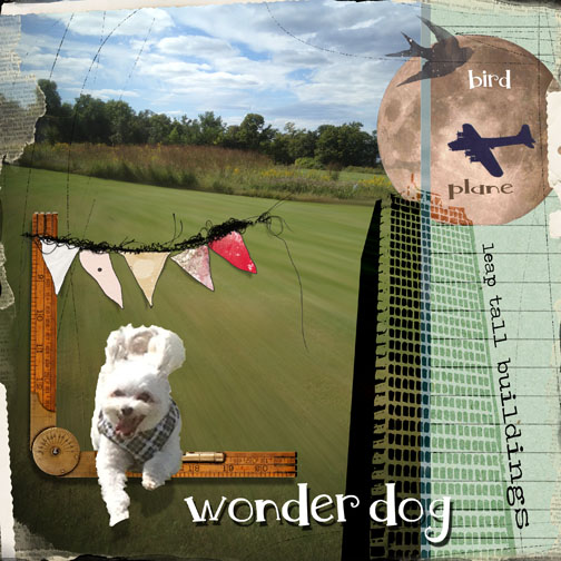 wonder dog - technique challenge