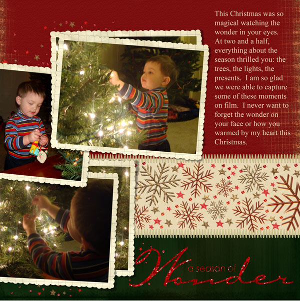 Wonder of the Season