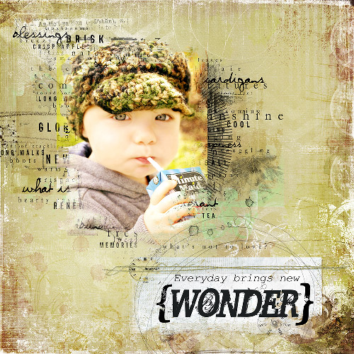 Wonder