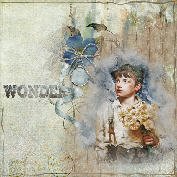 Wonder