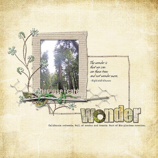 Wonder