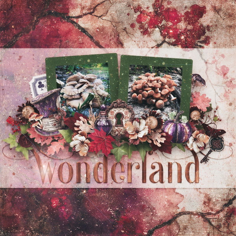 Wonderland.jpg