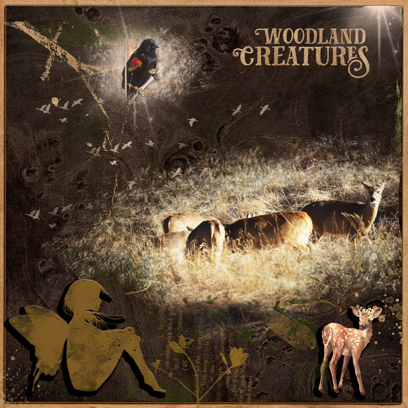 Woodland Creatures