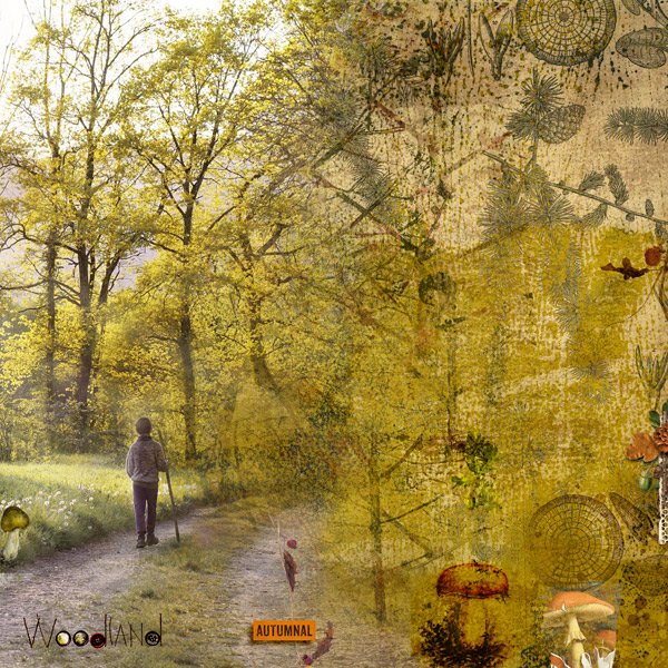 WoodLand