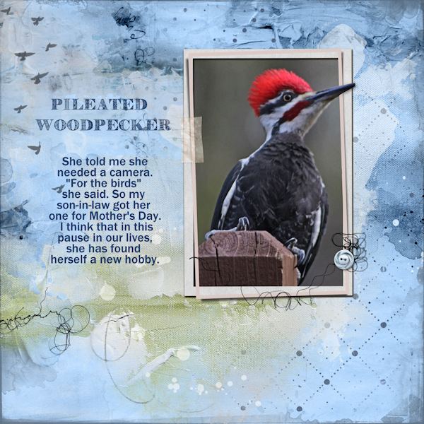 Woodpecker