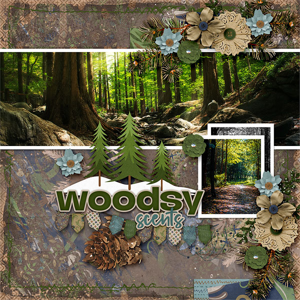 Woodsy Scents