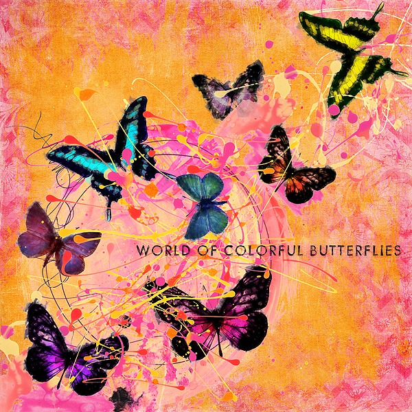 World Of Colorful Butterflies