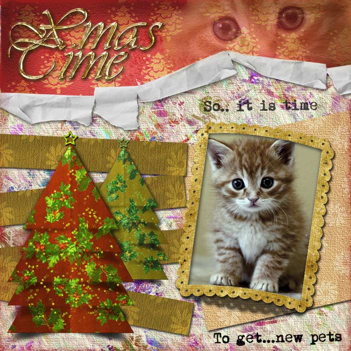 Xmas time,,,,, to get new pets