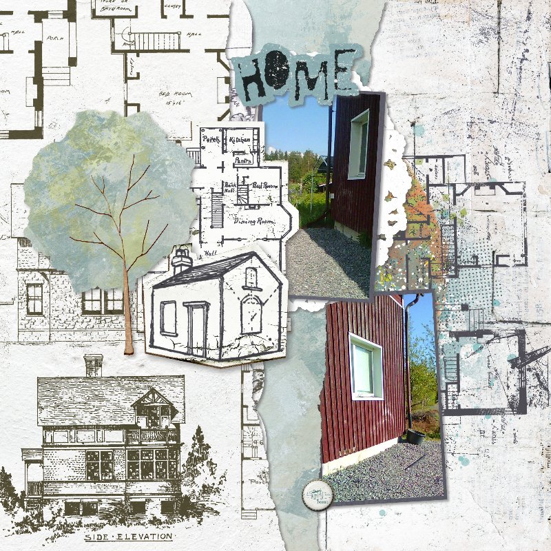 Yard project.jpg