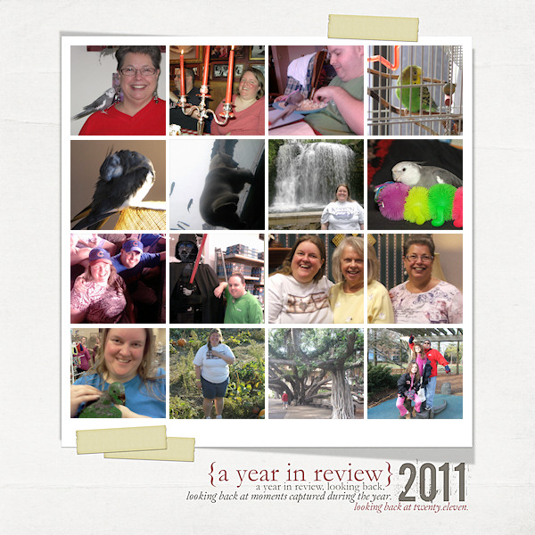 Year in Review 2011