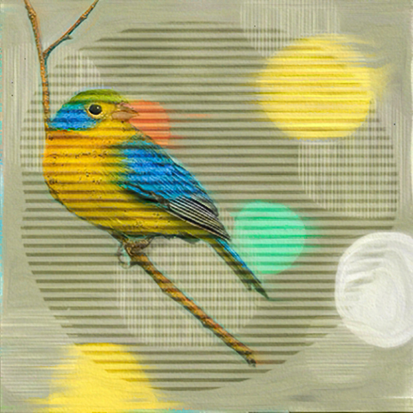 yellow bird AnnaLift