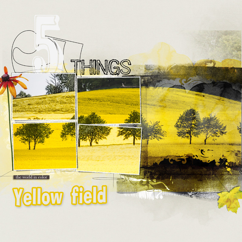 Yellow Field