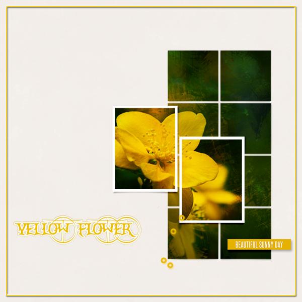 Yellow Flower